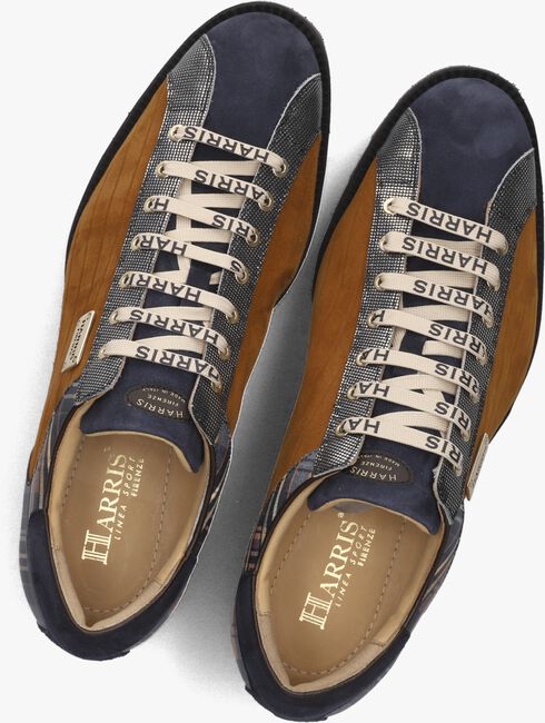 Cognac HARRIS Lage sneakers 2817 Cognac HARRIS Lage sneakers 2817 - large