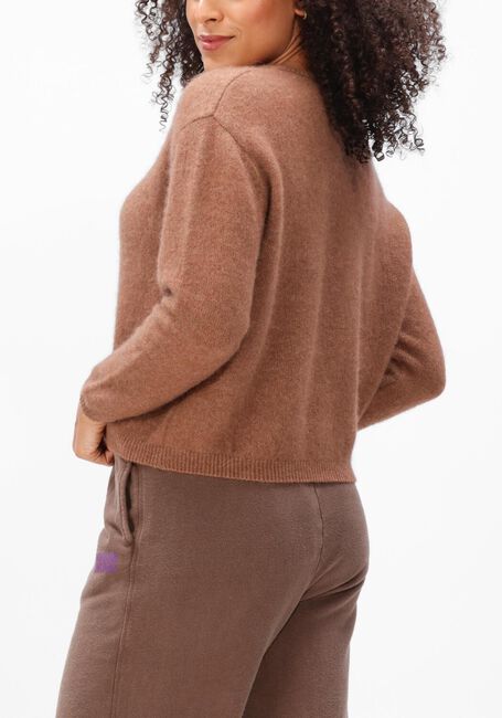 Bruine AMERICAN VINTAGE Trui VITOW - large