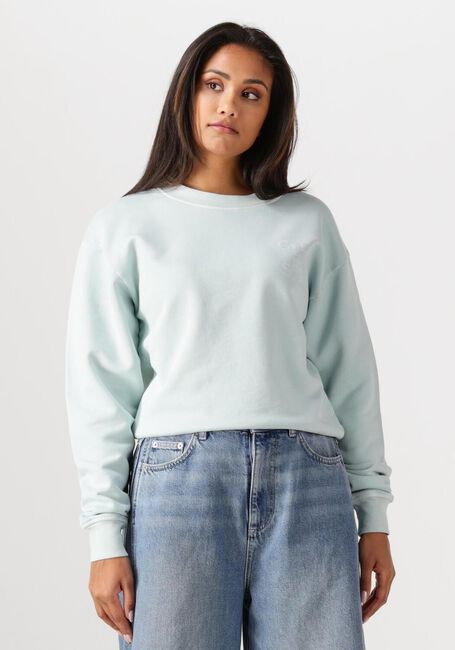 Lichtblauwe CLOSED Sweater PRINTED SWEATSHIRT - large