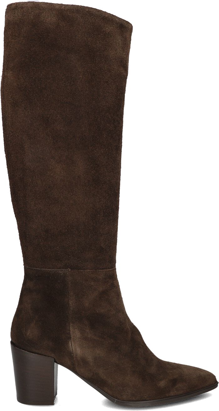 Lina Locchi Lina Locchi Hoge Laarzen Dames Av 84