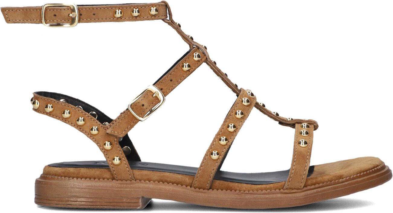 Blasz Sandalen
Dames 1gamba100, Maat: 36, Materiaal: Suède, Kleur: Cognac