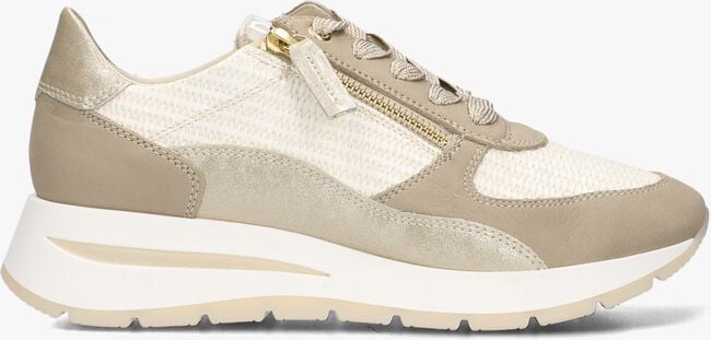 DL SPORT 6551 DL SPORT 6551 - large