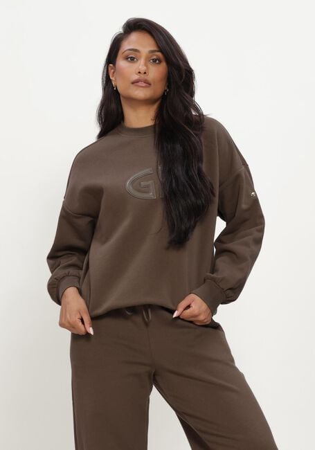 Bruine GOLDBERGH Sweater TOVA - large