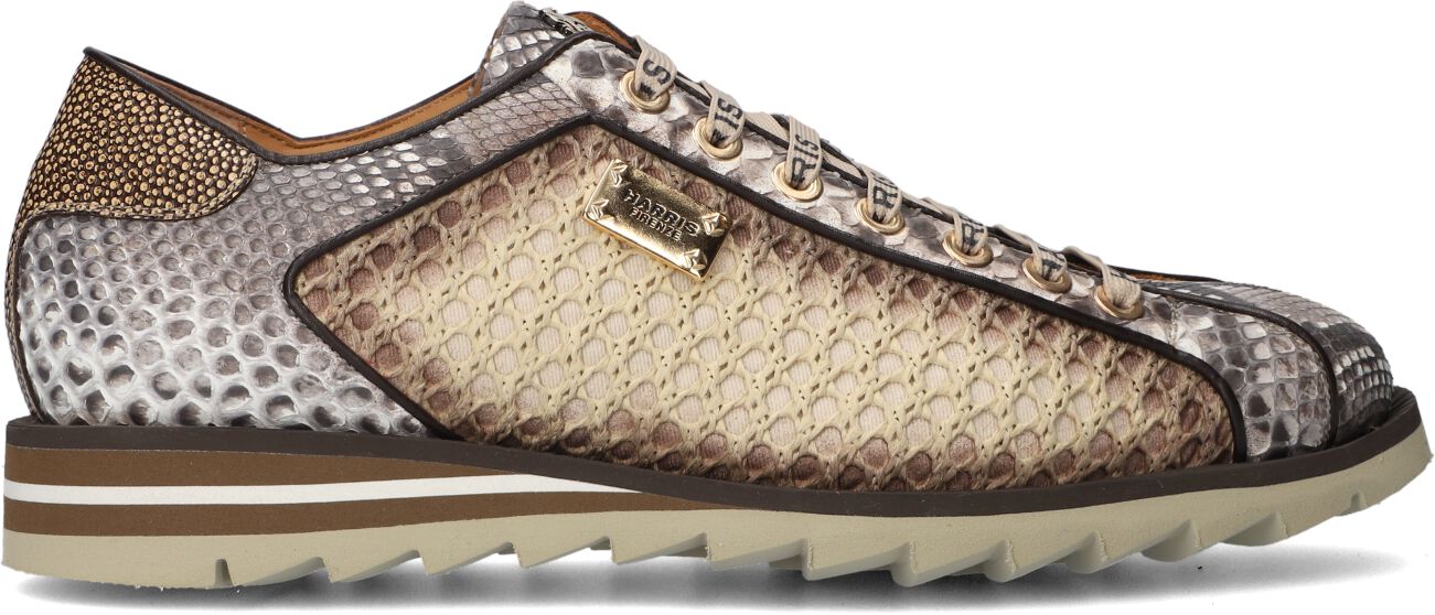 Harris Lage Sneakers Heren Mugello, Maat: 42, Materiaal: Leer, Kleur: Bruin afbeelding