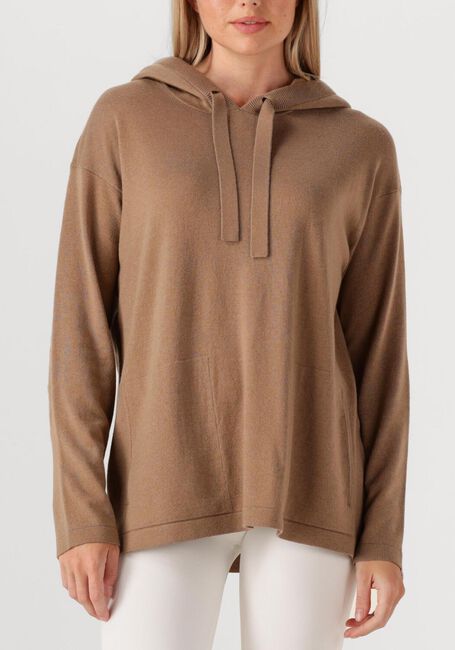 Camel MAX MARA Trui EROICO - large