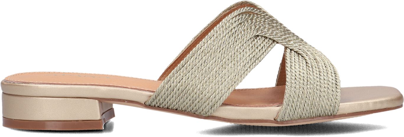 Ayana Slippers
Dames 0677-1, Maat: 36, Materiaal: Raffia, Kleur: Goud