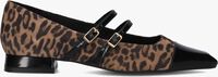 Taupe LODI Ballerina's BRO4982 Taupe LODI Ballerina's BRO4982 - medium
