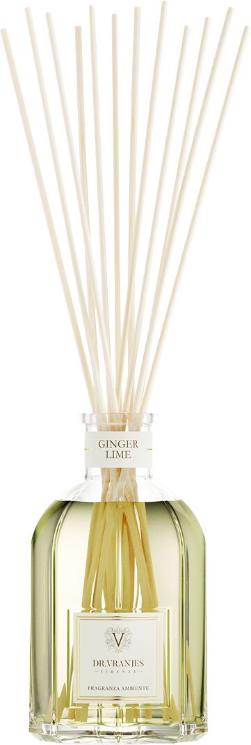 Dr. Vranjes Firenze Dames Ginger Lime Diffuser 500ml, Maat: 500 ml afbeelding 1