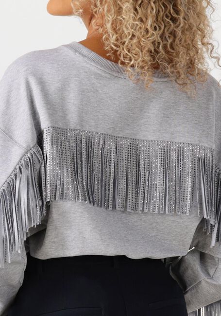 Lichtgrijze CO'COUTURE Trui STUDCC FRINGE SWEAT - large