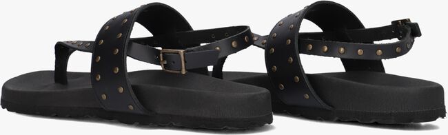 Zwarte LINA LOCCHI Sandalen LED TEENSLIP SANDAAL MET STUDS Zwarte LINA LOCCHI Sandalen LED TEENSLIP SANDAAL MET STUDS - large