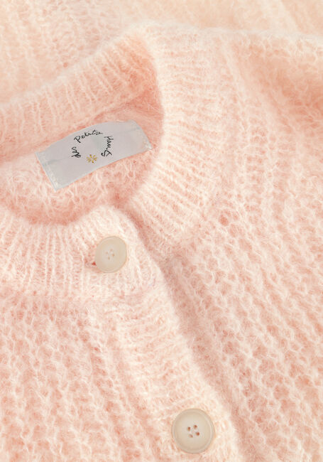 DES PETITS HAUTS ALMA DES PETITS HAUTS ALMA - large