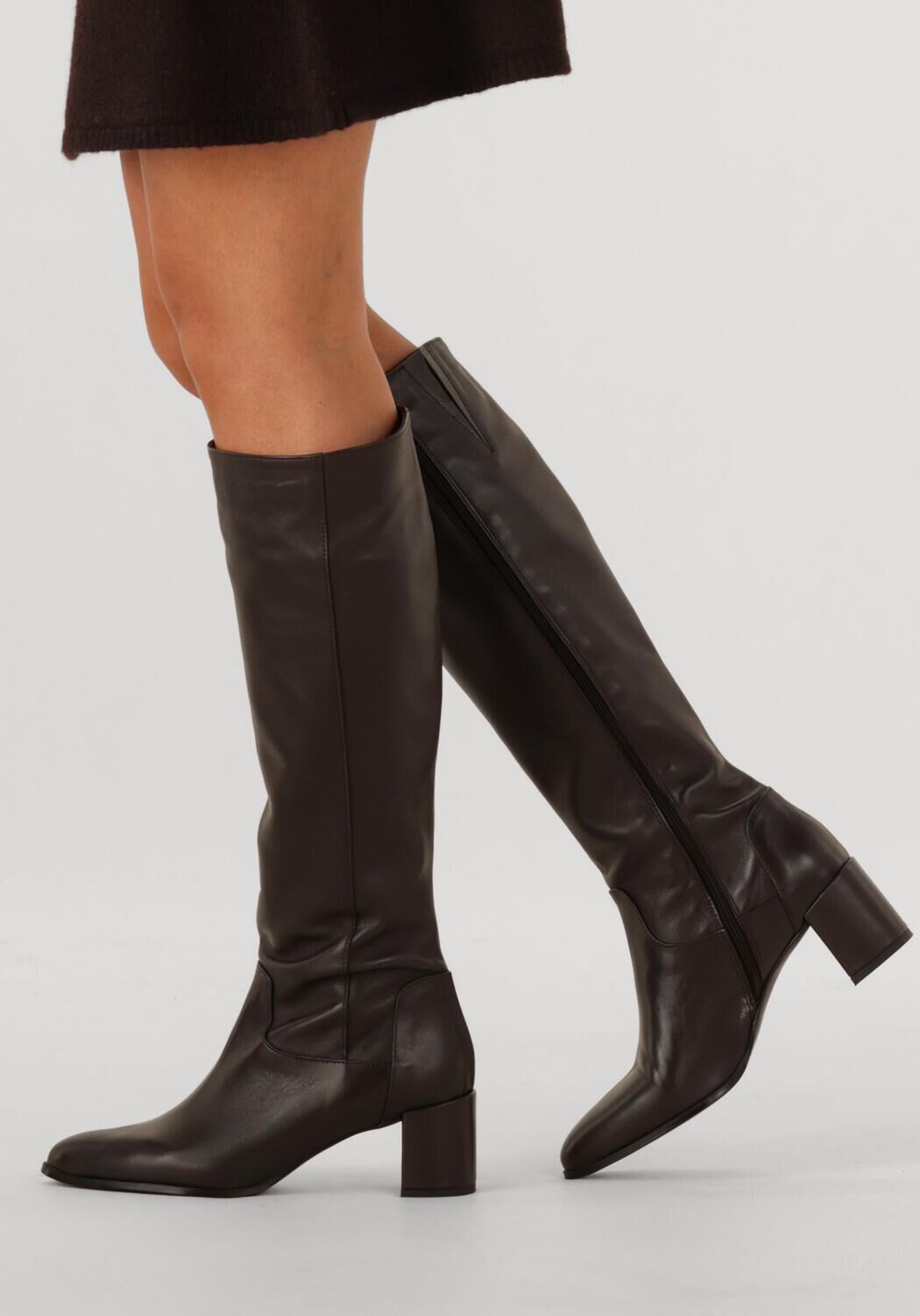 Bruine NOTRE-V Hoge laarzen 8591 - large