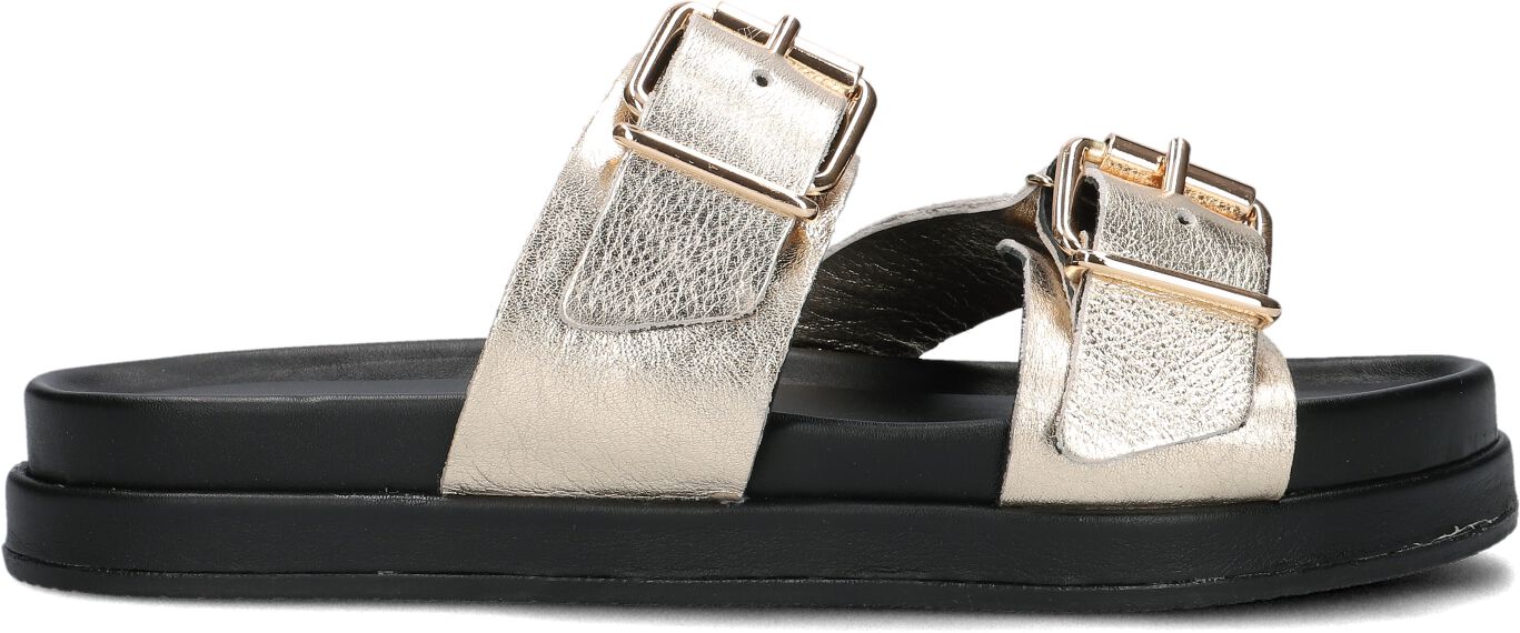 Lina Locchi Slippers
Dames Led 2 Band Slipper Dz, Maat: 42, Materiaal: Leer, Kleur: Goud