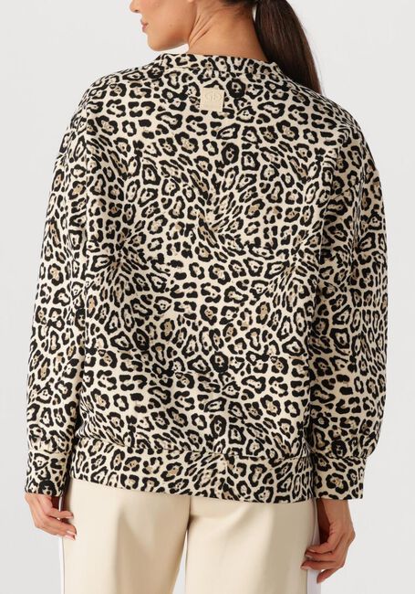 Bruine GOLDBERGH Trui KIARAH SWEATER - large