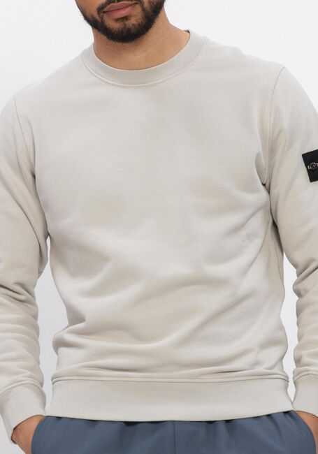 Grijze STONE ISLAND Trui SWEATSHIRT S0051 - large