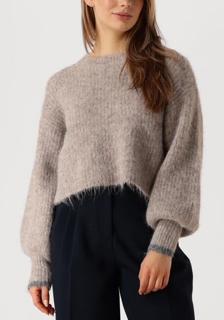 Bruine CO'COUTURE Truien/vesten CORALEE CROP KNIT - large