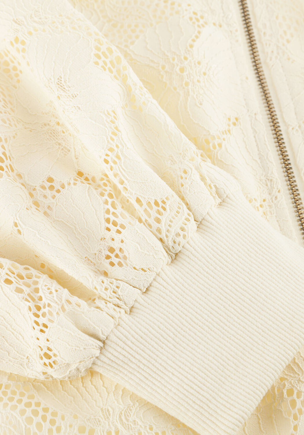 Creme AMAYA AMSTERDAM Jack MEADOW - large