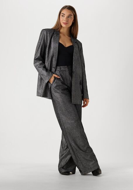 Zilveren IBANA Pantalon PUYO - large