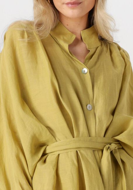 Groene GREEK ARCHAIC KORI Midi jurk 130463 - large