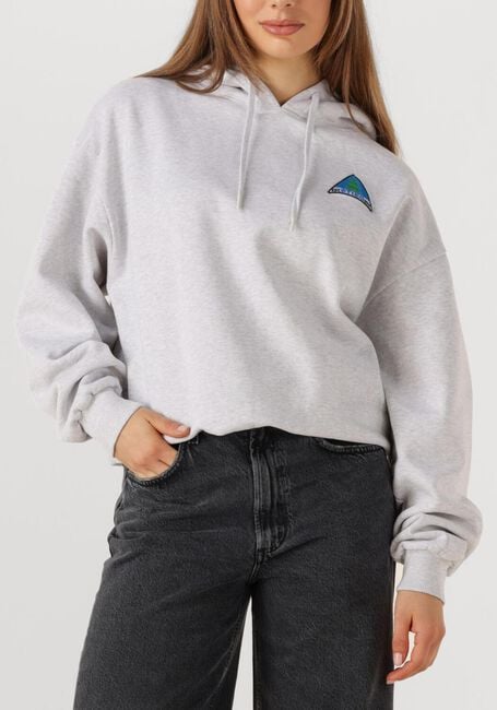 Lichtgrijze STIEGLITZ Trui CISCO HOODIE - large