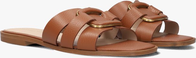 Cognac STEFANO LAURAN Slippers 24152 Cognac STEFANO LAURAN Slippers 24152 - large