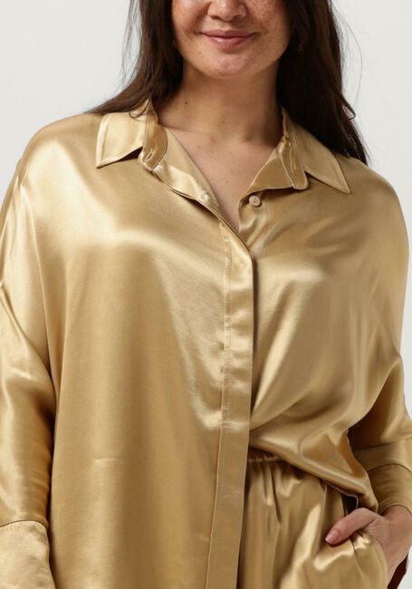 Gouden GREEK ARCHAIC KORI Blouses 150072 - large