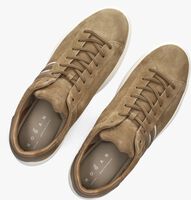 Camel HOGAN Lage sneakers H580 ALLACCIATO H SLASH Camel HOGAN Lage sneakers H580 ALLACCIATO H SLASH - medium
