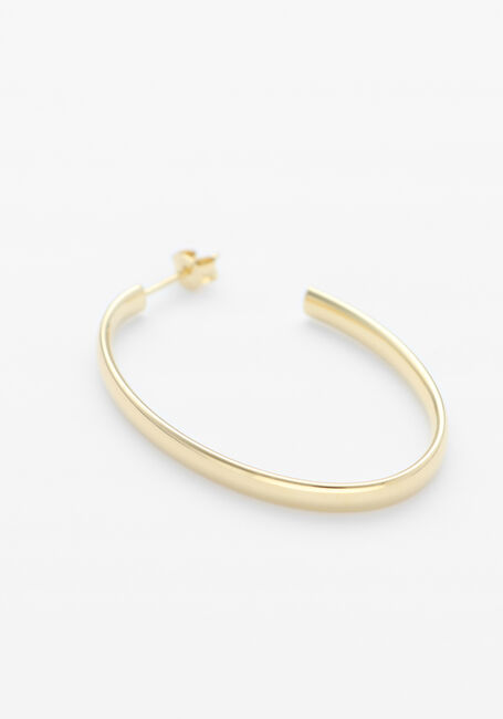 Multi LOTT. GIOIELLI Sieraad CL EARRING CREOLE OVAL SMALL - large