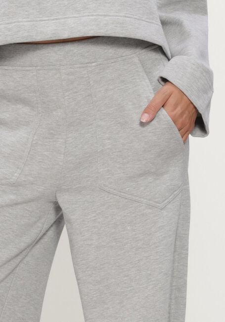 Grijze DEBLON SPORTS Broeken JAYDEN WIDE LEG JOGGER - large