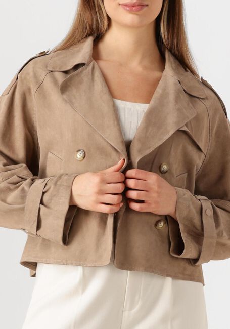 Taupe ALTER EGO Jack FLORIEN - large