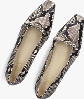 Beige TORAL Ballerina's JOSEPHINE Beige TORAL Ballerina's JOSEPHINE - medium