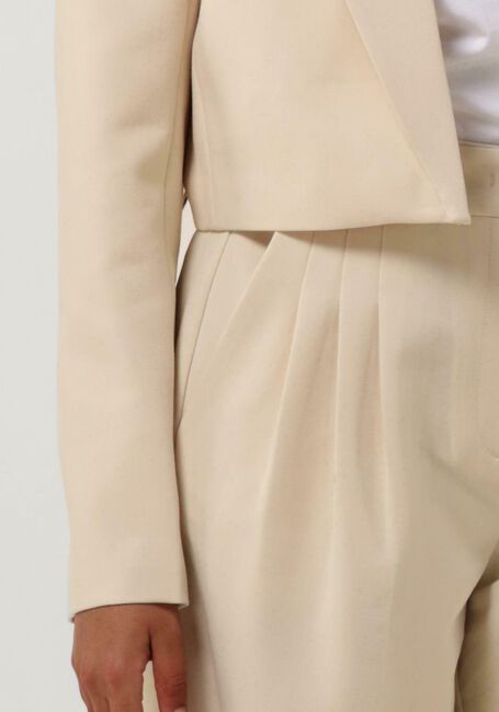 Beige CO'COUTURE Pantalon VOLA PLEATED LONG PANT - large