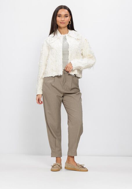 Taupe COPENHAGEN MUSE Pantalon TAILOR PANTS - large