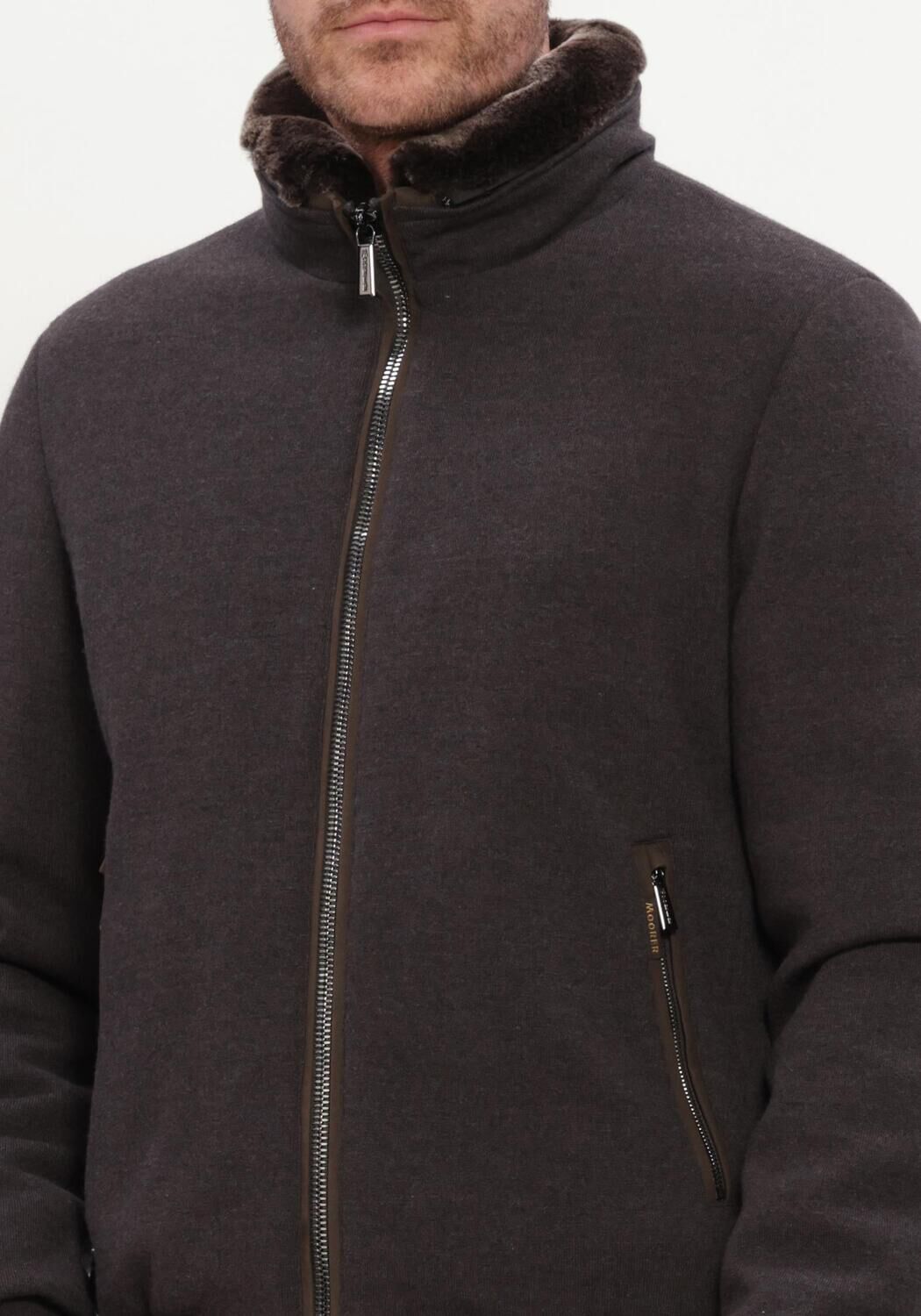 Bruine MOORER Jack BELLATI-MRW - large