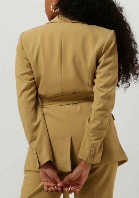 Olijf AAIKO Blazer PERIZE VIS 333 - large