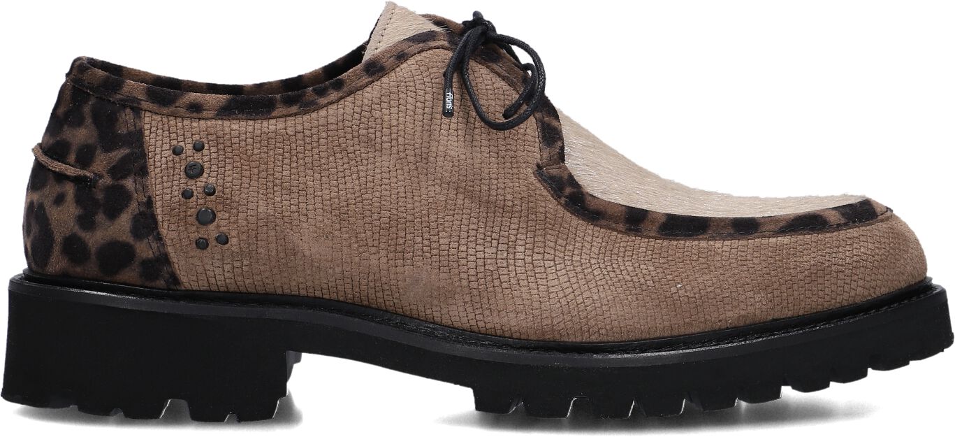 Floris van Bommel Veter
Dames Sfw-30036 Selsi