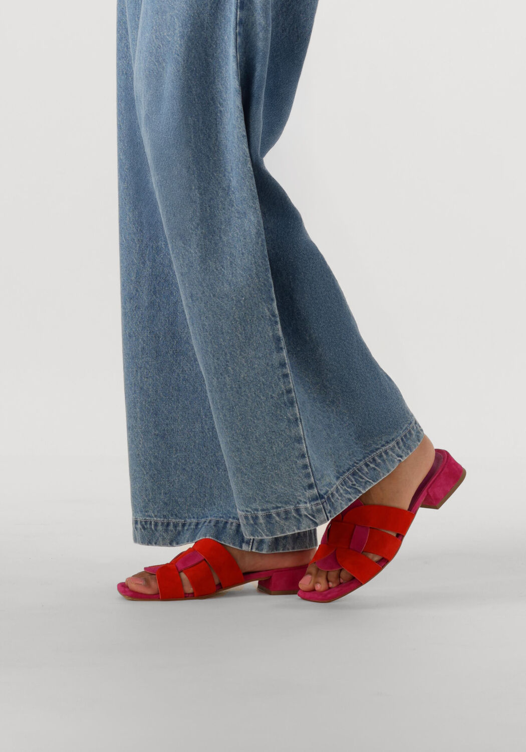 Paarse STEFANO LAURAN Slippers KARIN - large