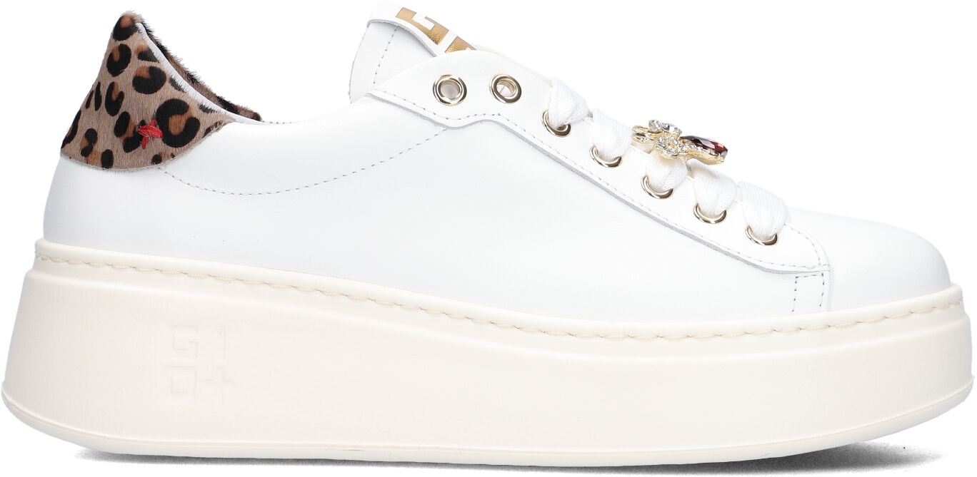 Gio+ Sneakers
Dames Pia, Maat: 42, Materiaal: Leer, Kleur: Wit