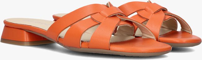 Oranje LINA LOCCHI Slippers LED KNOOP SLIPPER Oranje LINA LOCCHI Slippers LED KNOOP SLIPPER - large