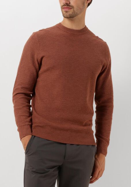 Bruine PROFUOMO Trui PULLOVER CREW NECK - large