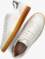 Witte LINA LOCCHI Sneakers 438-04C3 - medium
