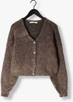 Bruine GESTUZ Vest GZDEBBIE CARDIGAN Bruine GESTUZ Vest GZDEBBIE CARDIGAN - medium