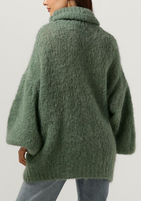 Groene AMERICAN DREAMS Coltrui PEPPER ROLL NECK ALPACA PULLOVER - large