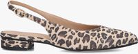 Beige LINA LOCCHI Slingbacks 010-72 - medium