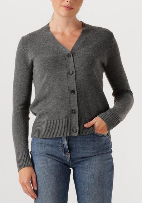 Grijze MAX MARA Vest APOLLO - large