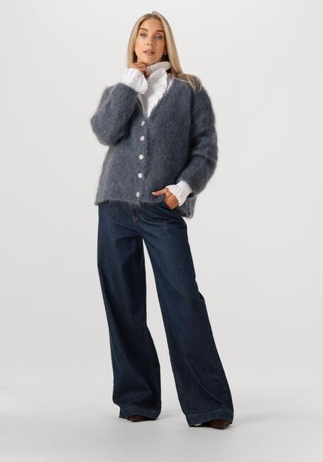 Donkergrijze AMAYA AMSTERDAM Vest ROOS KNITWEAR - large