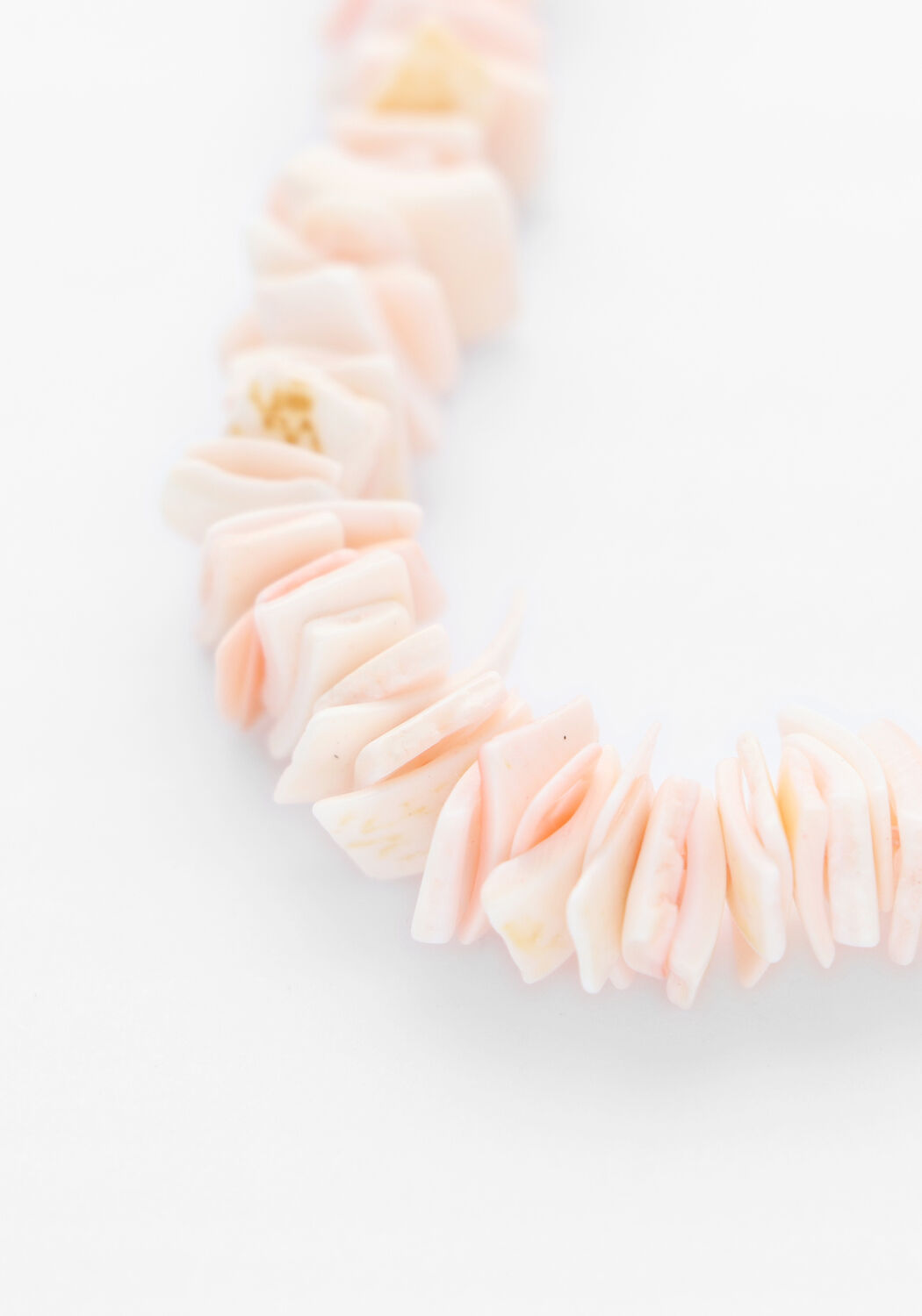 Roze BONNIE STUDIOS Kettingen PINK SHELL NECKLACE - large