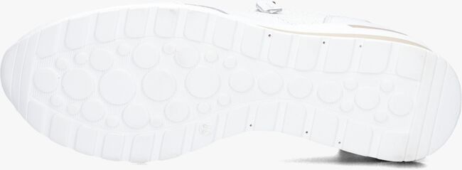 Witte DL SPORT Lage sneakers 6574 Witte DL SPORT Lage sneakers 6574 - large