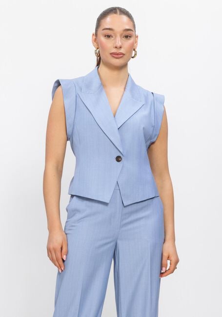 Lichtblauwe CO'COUTURE Trui KIANACC PIN VEST - large