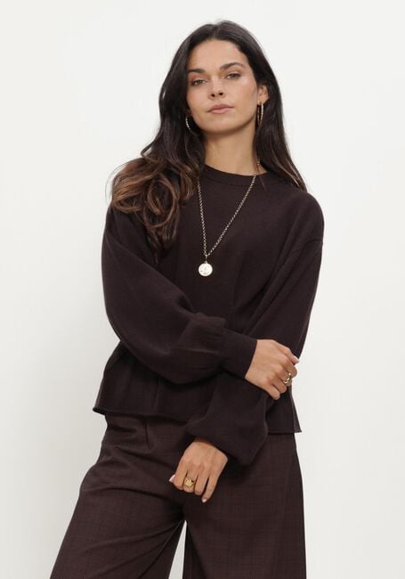 Bruine GESTUZ Truien/vesten GZMANZI WAIST PULLOVER - large